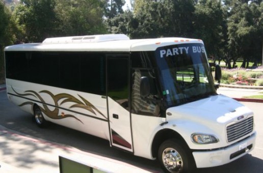 Freightliner Party Bus (Seats up to 30 passengers)